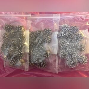 Decorative Pine Cones and Seed Pods Set